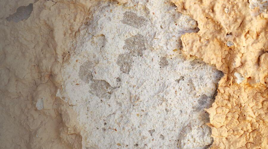 Why choose LiveGuard Solutions for water damage restoration in Columbia